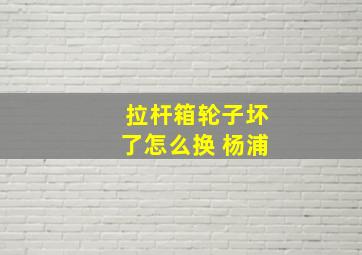 拉杆箱轮子坏了怎么换 杨浦